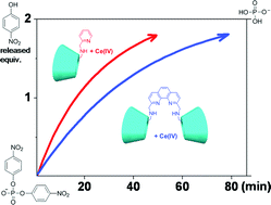 Graphical abstract: Rapid hydrolysis of phosphate ester promoted by Ce(iv) conjugating with a β-cyclodextrin monomer and dimer