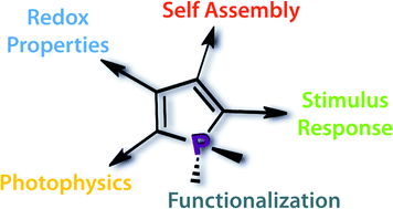 Graphical abstract: Combining form with function – the dawn of phosphole-based functional materials