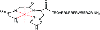 Graphical abstract: DNA nuclease activity of Rev-coupled transition metal chelates