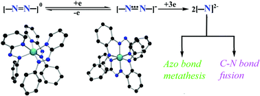 Graphical abstract: Recent advances on the chemistry of transition metal complexes of 2-(arylazo)pyridines and its arylamino derivatives