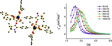 Graphical abstract: Modulating spin dynamics of cyclic LnIII-radical complexes (LnIII = Tb, Dy) by using phenyltrifluoroacetylacetonate coligand