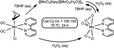 Graphical abstract: Molybdenum(vi) catalysts obtained from η3-allyl dicarbonyl precursors: Synthesis, characterization and catalytic performance in cyclooctene epoxidation