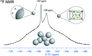 Graphical abstract: Mechanistic insight into formation and changes of nanoparticles in MgF2 sols evidenced by liquid and solid state NMR