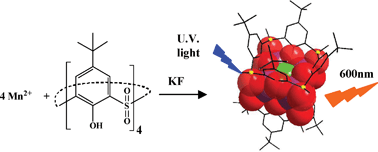 Graphical abstract: Tetranuclear manganese(ii) complexes of sulfonylcalix[4]arene macrocycles: synthesis, structure, spectroscopic and magnetic properties