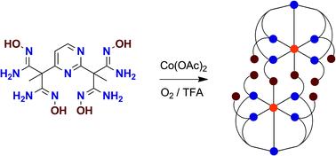 Graphical abstract: Tetrapodal amidoxime ligands I. Coordination isomerism due to self-complementary dimerization of a pyramidal cobalt(iii) coordination module