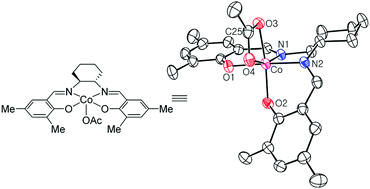 Graphical abstract: Unusual coordination mode of tetradentate Schiff base cobalt(iii) complexes