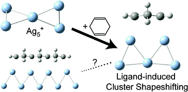 Graphical abstract: Shapeshifting: Ligation by 1,4-cyclohexadiene induces a structural change in Ag5+