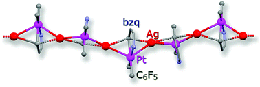 Graphical abstract: Benzoquinolateplatinum(ii) complexes as building blocks in the synthesis of Pt–Ag extended structures