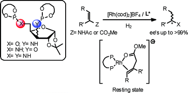 Graphical abstract: Asymmetric Rh-catalyzed hydrogenation using a furanoside phosphite–phosphoroamidite and diphosphoroamidite ligand library
