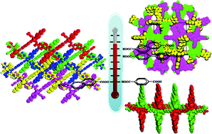 Graphical abstract: Entangled coordination polymers with mixed N- and O-donor organic linkers: A case of module-matching priority