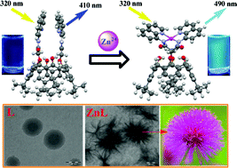 Graphical abstract: 1,3-Di-amidoquinoline conjugate of calix[4]arene (L) as a ratiometric and colorimetric sensor for Zn2+: Spectroscopy, microscopy and computational studies