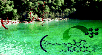 Graphical abstract: Dual functional rhodamine-immobilized silica toward sensing and extracting mercury ions in natural water samples