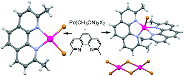 Graphical abstract: Unexpected isomerism in “[Pd(2,9-dimethylphenanthroline)X2]” (X = Cl, Br, I) complexes: a neutral and an ionic form exist