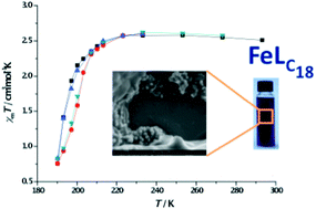 Graphical abstract: Inducing hysteretic spin crossover in solution