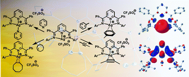 Graphical abstract: The interplay of metal and supporting ligand in labile coordination to pincer complexes of Ag(i)