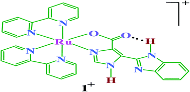 Graphical abstract: Selective recognition of fluoride and acetate by a newly designed ruthenium framework: experimental and theoretical investigations