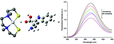 Graphical abstract: Quenching of tryptophan fluorescence in various proteins by a series of small nickel complexes