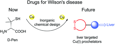 Graphical abstract: Chelation therapy in Wilson's disease: from d-penicillamine to the design of selective bioinspired intracellular Cu(i) chelators