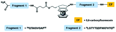 Graphical abstract: A novel conjugate of a cell-penetrating peptide and a ferrocenyl amino acid: a potential electrochemical sensor for living cells?