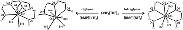 Graphical abstract: Ionic liquid mediated routes to polydentate oxygen-donor adducts of cerium(iii) bromide