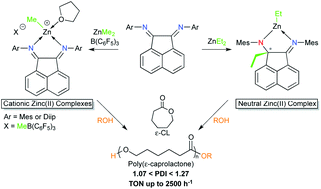 Graphical abstract: Highly active zinc alkyl cations for the controlled and immortal ring-opening polymerization of ε-caprolactone