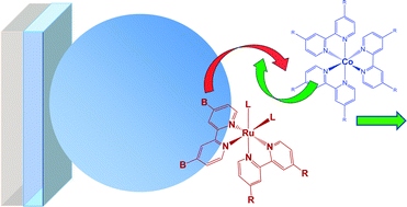 Graphical abstract: The end of iodide? Cobalt complex redox shuttles in DSSCs