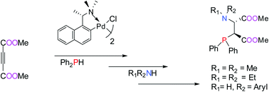 Graphical abstract: Chiral cyclopalladated complex promoted asymmetric synthesis of diester-substituted P,N-ligands via stepwise hydrophosphination and hydroamination reactions