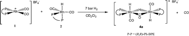 Graphical abstract: Interception of a Rh(I)–Rh(III) dinuclear trihydride complex revealing the dihydrogen activation by [Rh(CO)2{(R,R)-Ph–BPE}]