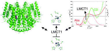 Graphical abstract: Theoretical calculations of physico-chemical and spectroscopic properties of bioinorganic systems: current limits and perspectives