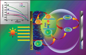 Graphical abstract: PbS quantum dot sensitized anatase TiO2 nanocorals for quantum dot-sensitized solar cell applications
