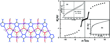 Graphical abstract: Two isomorphous Mn(ii) and Co(ii) 5-amino-tetrazolate coordination polymers with magnetic Δ-chains: crystal structures and magnetic properties