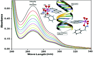 Graphical abstract: Synthesis, structural characterization and catalytic activity of a multifunctional enzyme mimetic oxoperoxovanadium(v) complex