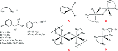 Graphical abstract: Synthesis, structures of (aminopyridine)nickel complexes and their use for catalytic ethylene polymerization
