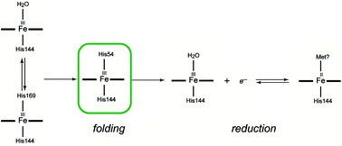 Graphical abstract: Changes in the heme ligation during folding of a Geobacter sulfurreducens sensor GSU0935