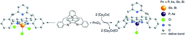 Graphical abstract: Chemistry of the heavy group 15 elements with the pyridyl tethered 1,2-bis(imino)acenaphthene “clamshell” ligand