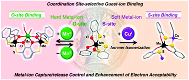 Graphical abstract: Coordination site-dependent cation binding and multi-responsible redox properties of Janus-head metalloligand, [MoV(1,2-mercaptophenolato)3]