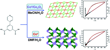 Graphical abstract: Two new CoII coordination polymers based on carboxylate-bridged di- and trinuclear clusters with a pyridinedicarboxylate ligand: synthesis, structures and magnetism