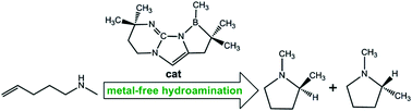 Graphical abstract: Catalytic metal-free intramolecular hydroaminations of non-activated aminoalkenes: A computational exploration