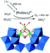 Graphical abstract: A nickel containing polyoxometalate water oxidation catalyst