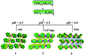 Graphical abstract: Influence of pH and organic ligands on the supramolecular network based on molybdenum phosphate/strontium chemistry