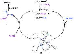 Graphical abstract: Synthesis, characterization of bridged bis(amidinate) lanthanide amides and their application as catalysts for addition of amines to nitriles for monosubstituted N-arylamidines