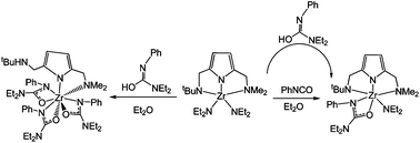 Graphical abstract: Zirconium complexes incorporated with asymmetrical tridentate pincer type mono- and di-anionic pyrrolyl ligands: mechanism and reactivity as catalytic precursors