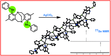 Graphical abstract: Synthesis and characterization of novel S,N and Se,N homodimetallic Ag(i)-complexes