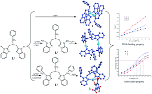 Graphical abstract: Synthesis, structure, DNA-binding properties and antioxidant activity of silver(i) complexes containing V-shaped bis-benzimidazole ligands