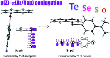 Graphical abstract: Role of p(Z)–π(Ar/Nap) conjugation in structures of 1-(arylchalcogena)naphthalenes for Z = Te versus Se, S and O: experimental and theoretical investigations