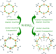 Graphical abstract: In situ synthesis of nickel tiara-like clusters with two different thiolate bridges