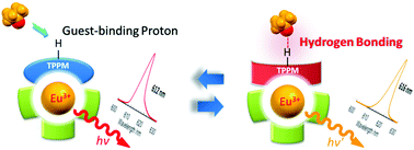 Graphical abstract: Eu(iii) emission band changes caused by peripheral C–H/O hydrogen bonding