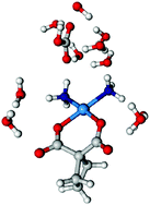 Graphical abstract: Activation of carboplatin by carbonate: a theoretical investigation