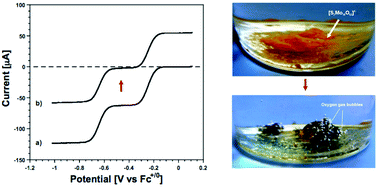 Graphical abstract: Electrochemical probing of the photoreduction of molybdenum and tungsten Dawson-type polyoxometalates in molecular and ionic liquid media using water as an electron donor