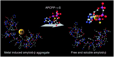 Graphical abstract: Nucleoside-5′-phosphorothioate analogues are biocompatible antioxidants dissolving efficiently amyloid beta–metal ion aggregates